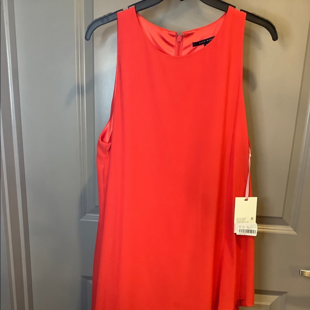 Alex Marie Lisa Lace dress